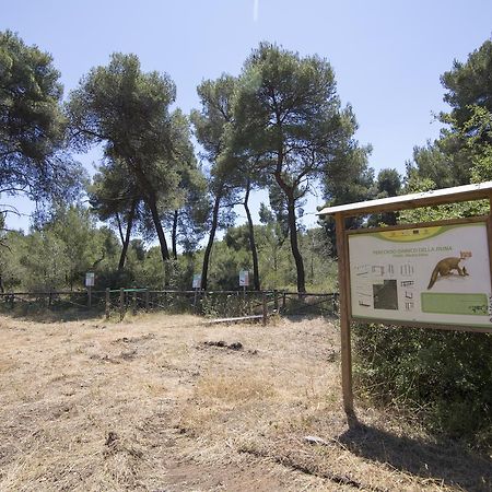 Villaggio Catalano Castellaneta Marina Exteriör bild