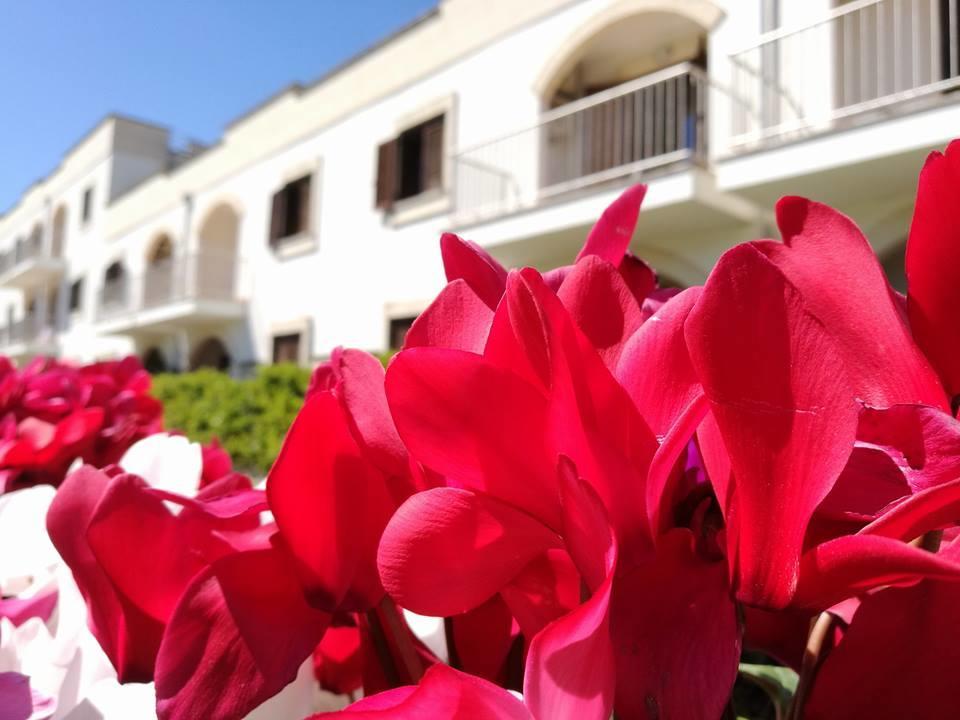 Villaggio Catalano Castellaneta Marina Exteriör bild
